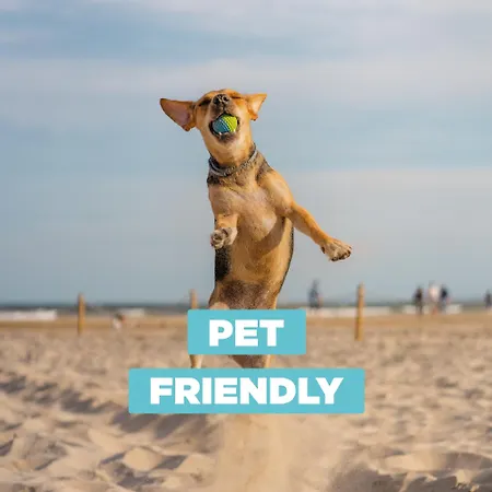 Appartement On The 309