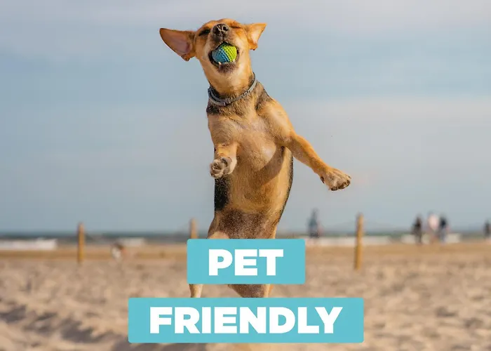 Apartment On The 309